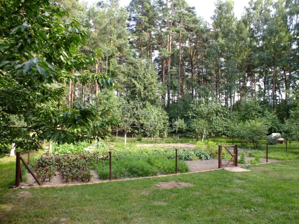 Agroturystyka Przysiolek Trzonki Lägenhet Pisz Exteriör bild